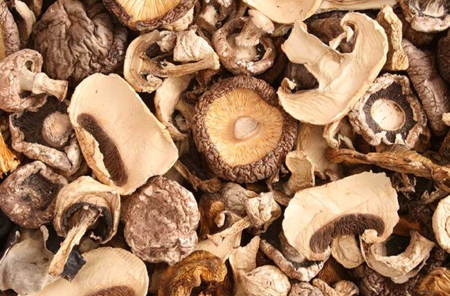 Research on the Health Benefits of Mushrooms