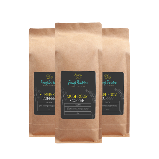 Mushroom Coffee Fusion - Lion’s Mane & Chaga 16oz